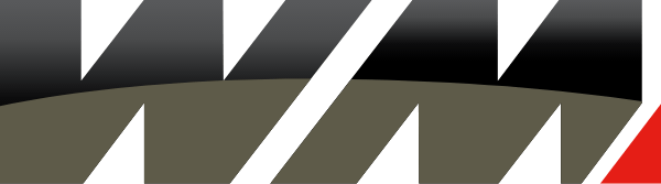 World Match logo